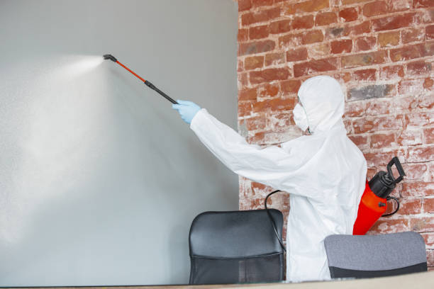 Best Indoor Air Quality Assessment  in Waldwick, NJ