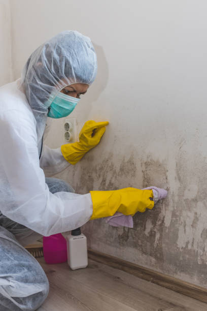 Best Commercial Mold Inspection  in Waldwick, NJ
